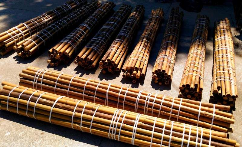 Vendo canne di bambù bambu con diametro da 1 a 10 cm. 