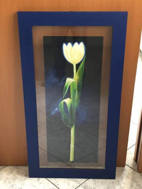 Quadro tulipano in cornice